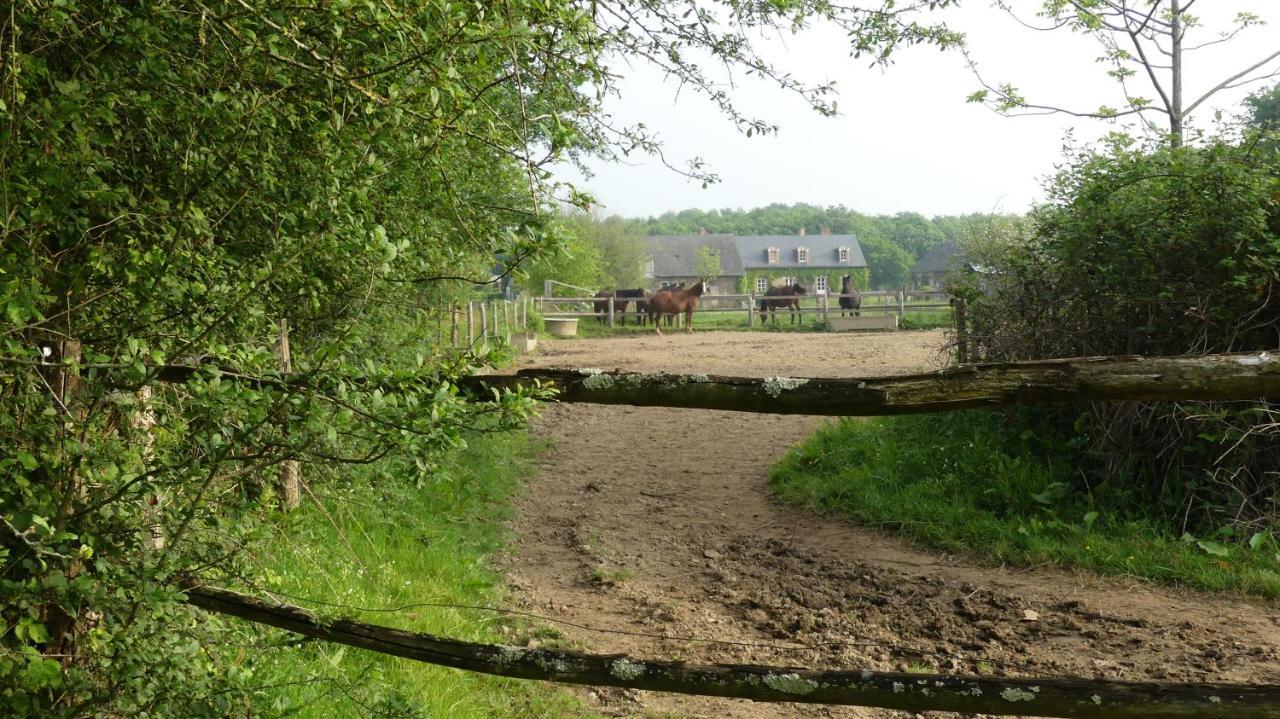 Bed and Breakfast La Petite Lande Ménil Exterior foto